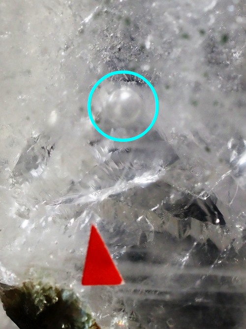 ���[�U�[���������� �������� (114)85mm