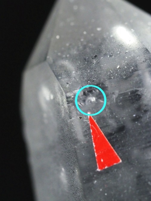 ���[�U�[���������� �������� (117)197mm