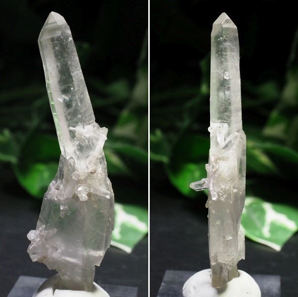 ���[�U�[������ �Ȃ萅�� (151)91mm