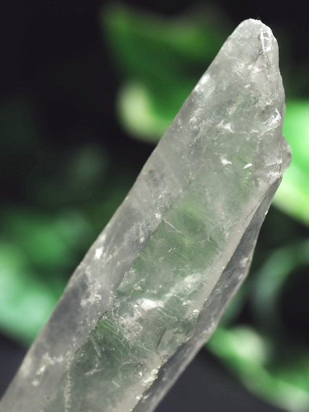 ���[�U�[������ (156)117mm