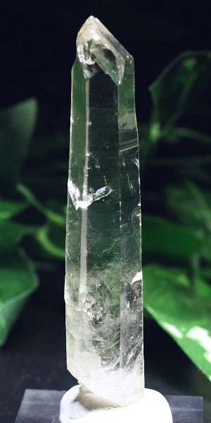 ���[�U�[������ (158)85mm