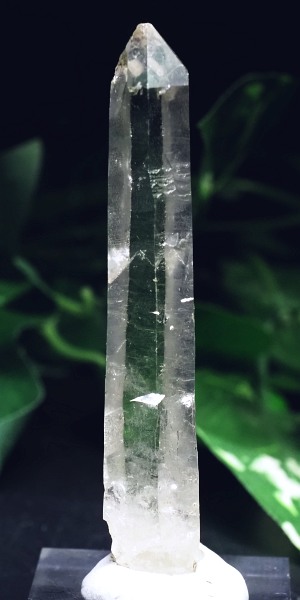 ���[�U�[������ (158)85mm