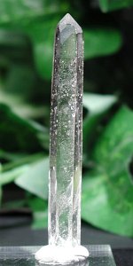 �V�����f���A�N�H�[�c<br> 79mm (103)