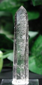 �V�����f���A�N�H�[�c<br> 81mm (106)
