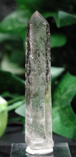 �V�����f���A�N�H�[�c<br> 93mm (107)