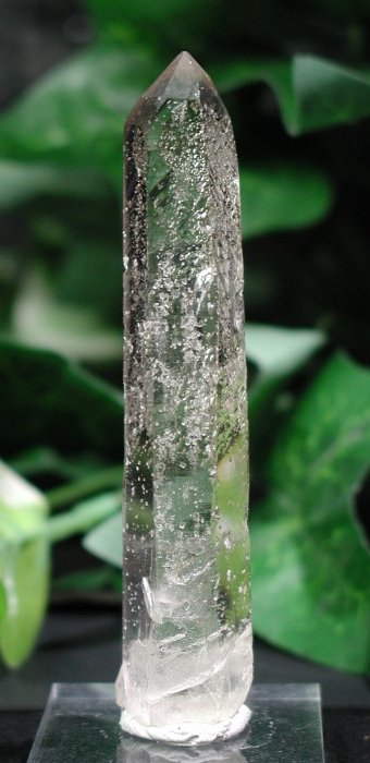 �V�����f���A�N�H�[�c 93mm (107)