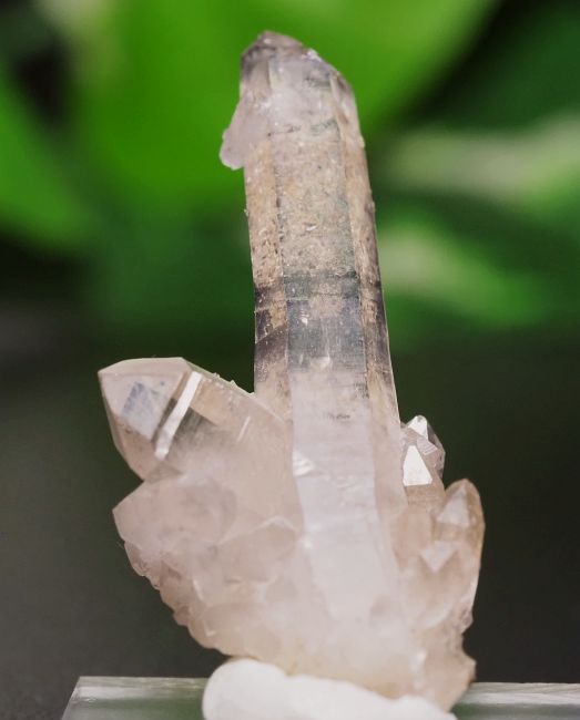�E��������/�Y���g�D�[�X�g�Y �������~�j�N���X�^�[ 8.5g (Ru111)