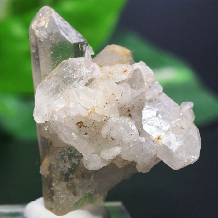 �E��������/�p���m�N�Y �~�j�����N���X�^�[ 30.4g (RU133)