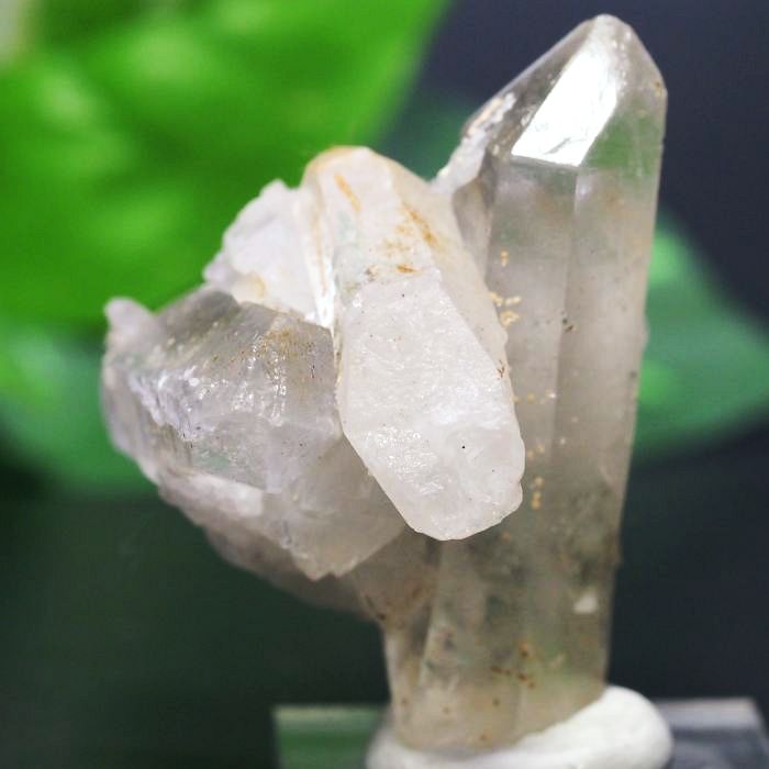 �E��������/�p���m�N�Y �~�j�����N���X�^�[ 30.4g (RU133)