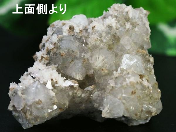 �x�[�^�N�H�[�c�N���X�^�[�Z�Ջʌ^���� ���V�A/�_���l�S���X�N�Y (Ru226)