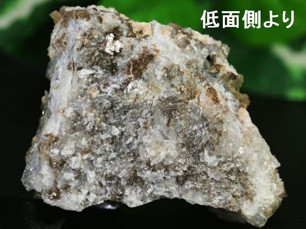 �x�[�^�N�H�[�c�N���X�^�[�Z�Ջʌ^���� ���V�A/�_���l�S���X�N�Y (Ru226)