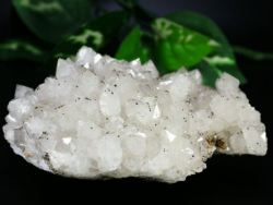 �����N���X�^�[<br> �ɓ����V�A/�_���l�S���X�N�Y<br> 767g (Ru228)