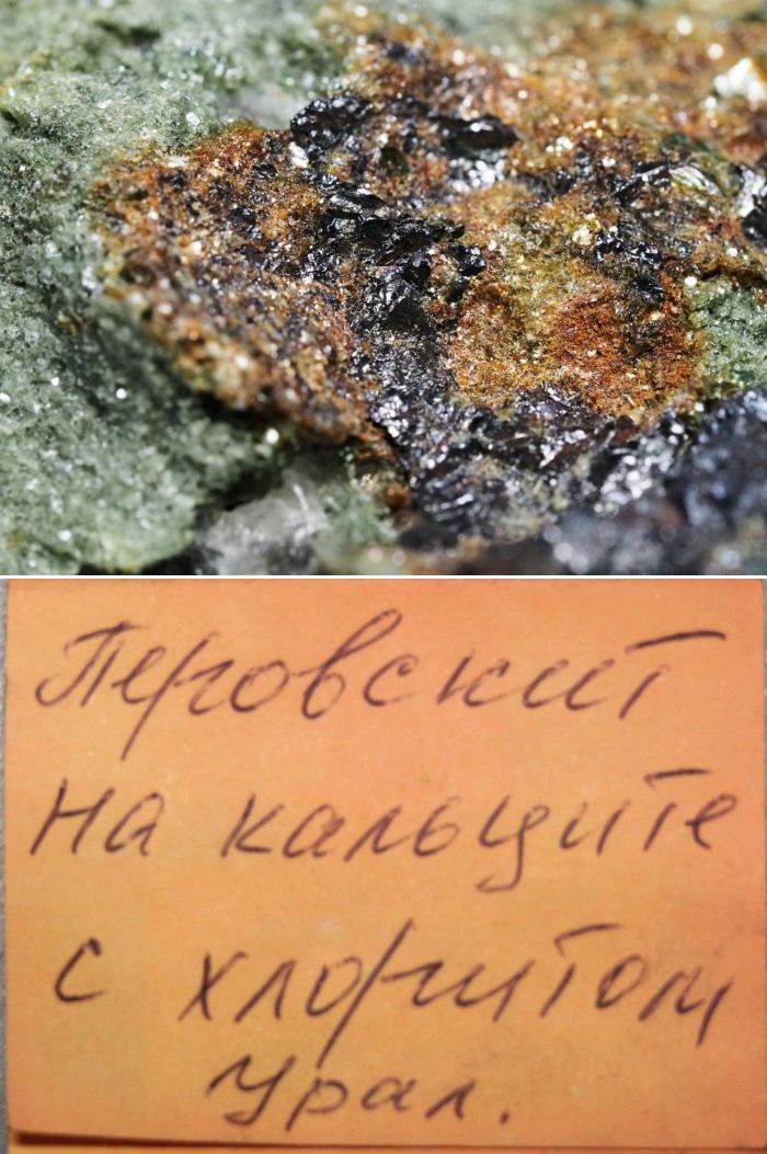 �ΓD�Ώ�̊D�`�^���� ���V�A/�E����/���h�x�f���[�t�X�J�G�Y(590)
