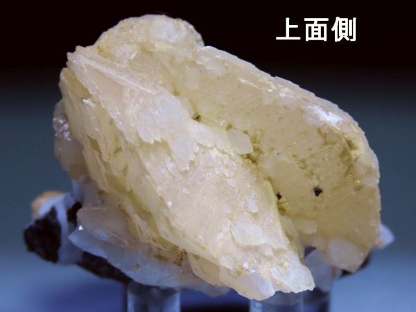 �M�����z��̐��������ƃJ���T�C�g ���V�A/�v�����[���G/�_���l�S���X�N�Y 95g (537) �Z�[���i