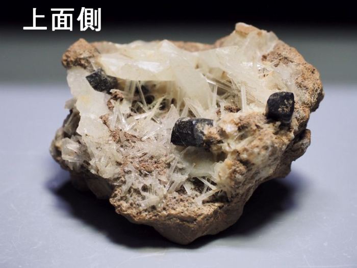 ����/�C���o�C�g/�J���T�C�g �ɓ����V�A/�_���l�S���X�N�Y (593) �Z�[���i