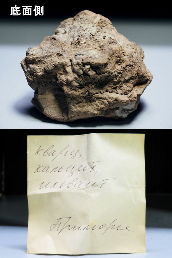 ����/�C���o�C�g/�J���T�C�g �ɓ����V�A/�_���l�S���X�N�Y (593) �Z�[���i