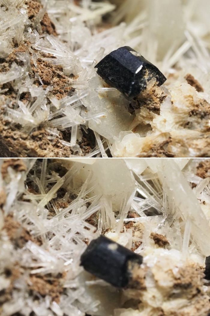 ����/�C���o�C�g/�J���T�C�g �ɓ����V�A/�_���l�S���X�N�Y (593) �Z�[���i