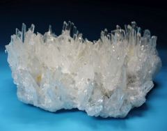 �j�[�h���N�H�[�c<br> �X�C�X�A���v�X���� 340g (24-22)