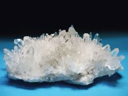 �j�[�h���N�H�[�c<br> �X�C�X�A���v�X���� 67g (24-27)