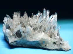 �j�[�h���N�H�[�c<br> �X�C�X�A���v�X���� 120g (25-37)