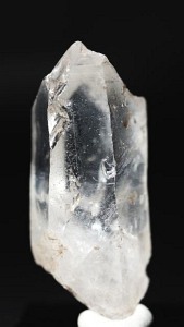 ���C�g�j���O�N�H�[�c<br> ������ 24g (343)
