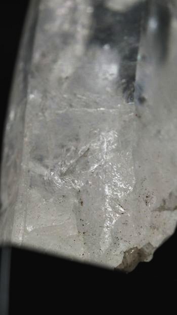 ���C�g�j���O�N�H�[�c ������ 25g (344)