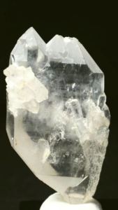 ���C�g�j���O�N�H�[�c<br> ������ 52g (346)