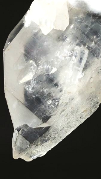 ���C�g�j���O�N�H�[�c ������ 52g (346)