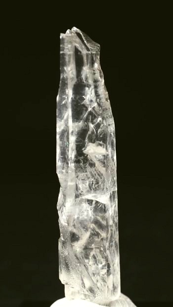 ���C�g�j���O�N�H�[�c ������ 11g (355)