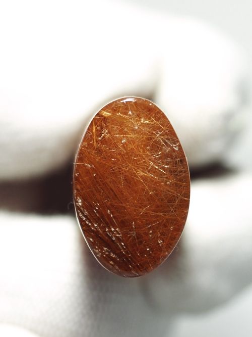 ���b�h���`���N�H�[�c���(���) 24x15.5mm (65)