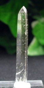 �V�����f���A���[�U�[<br>����71mm(120)