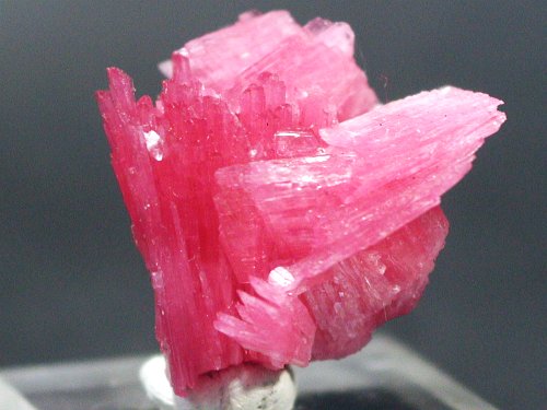 ���[�h�i�C�g(187)