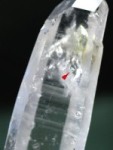 �����萅������<br> �u���W���Y 153g (*88)