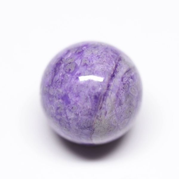�X�M���C�g�V�R�΃r�[�Y 3A+ 11mm 1������ (154)