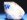 �p�p�S���萅���E�A�z�[�A�C�g����